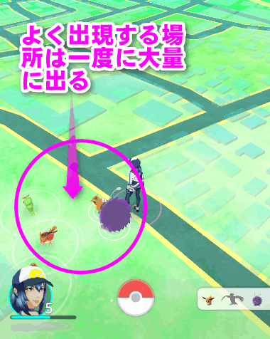 ポケモンが出ない ゲットできない 入手方法