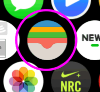 Apple WatchのWallet