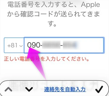 正しい電話番号を入力してください