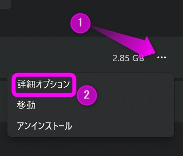 詳細オプションをクリック